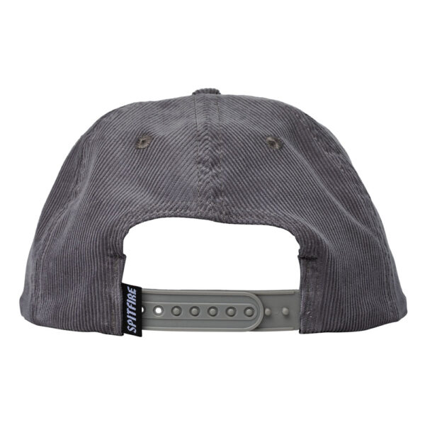 Spitfire Courier Patch Snapback - Imagen 2