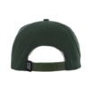 Anti Hero Lil Pigeon Forest Green Snapback
