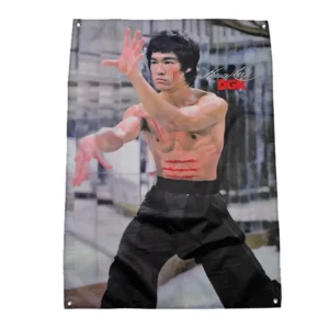 DGK x Bruce Lee Control Banner