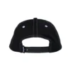Thunder Vertebrae Script Snapback Back Thunder Vertebrae Script Snapback
