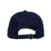 There Farce Strapback